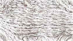 Fourth of 'reflets — paint synthesiser classic — 3.0 collection liquid cloners 4'.