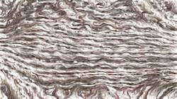 Fifth of 'reflets — paint synthesiser classic — 3.0 collection liquid cloners 4'.