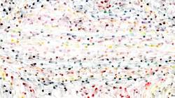 Fifth of 'reflets — paint synthesiser classic — 3.5 collection liquids 2'.