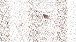 Second of 'reflets — paint synthesiser classic — 3.0 collection liquids 3'.