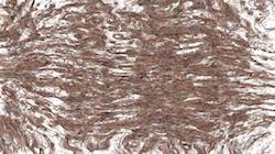 Fourth of 'reflets — paint synthesiser classic — 3.0 collection liquids 3'.