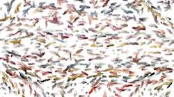 Fifth of 'reflets — paint synthesiser classic — 3.0 collection liquids 3'.