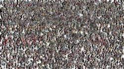 Fifth of 'reflets — paint synthesiser classic — 3.0 collection liquids 5'.