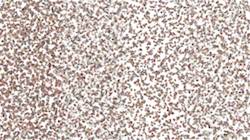 Seventh of 'reflets — paint synthesiser classic — 3.0 collection liquids 6'.