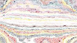 Sixth of 'reflets — paint synthesiser classic — speciality litho 1'.