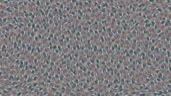 Fifth of 'reflets — paint synthesiser classic — 3.0 collection live video paint'.