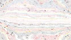 Seventh of 'reflets — paint synthesiser classic — speciality movie brush examples 1'.