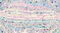 First of 'reflets — paint synthesiser classic — speciality misc examples 2'.