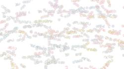 Third of 'reflets — paint synthesiser classic — paint styles materials–styles 2'.