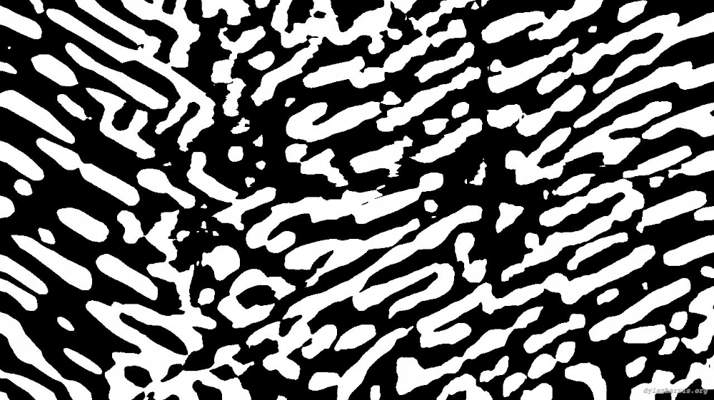 Image 'zz msg presets msg 3 14 8'.