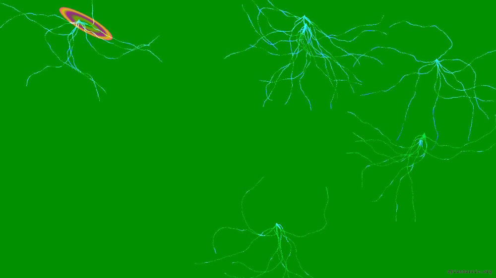 Image 'zz msg presets msg 8 5 5'.