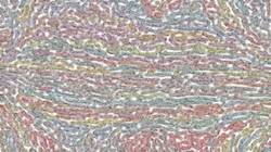 Fourth of 'reflets — paint synthesiser classic — 3.0 collection msg paint 1 1'.