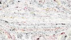 First of 'reflets — paint synthesiser classic — 3.5 collection multinibs 4'.