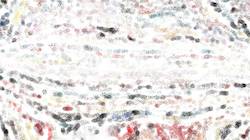 Seventh of 'reflets — paint synthesiser classic — 3.0 collection natural media 2'.