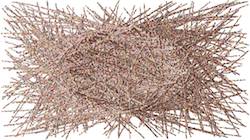 First of 'reflets — paint synthesiser classic — 3.0 collection particles 5'.