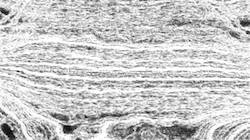 Fourth of 'reflets — paint synthesiser classic — 4.0 collection pencil sketch 1'.