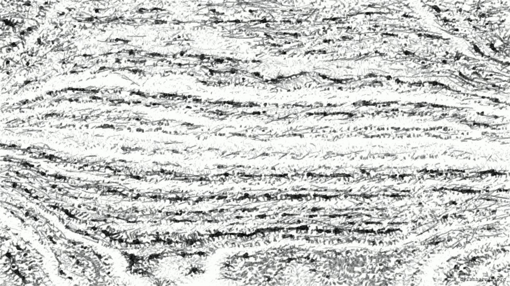 Image 'reflets — paint action sequence — pencil sketch 1 7'.