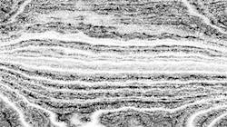 Seventh of 'reflets — paint synthesiser classic — 4.0 collection pencil sketch 4'.