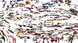 Sixth of 'reflets — paint synthesiser classic — 3.0 collection regions auto drawn 5'.