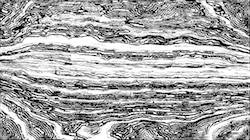 First of 'reflets — paint synthesiser classic — 4.0 collection regionisers 3 1'.