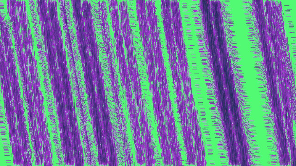 Image 'self animation reflets — msg — processing effects alpha 1 1'.