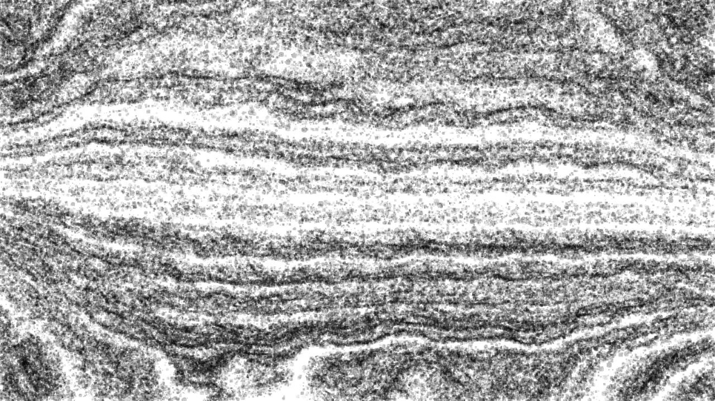 Image 'reflets — paint synthesiser classic — 4.0 collection sketch alt exp 2 3'.