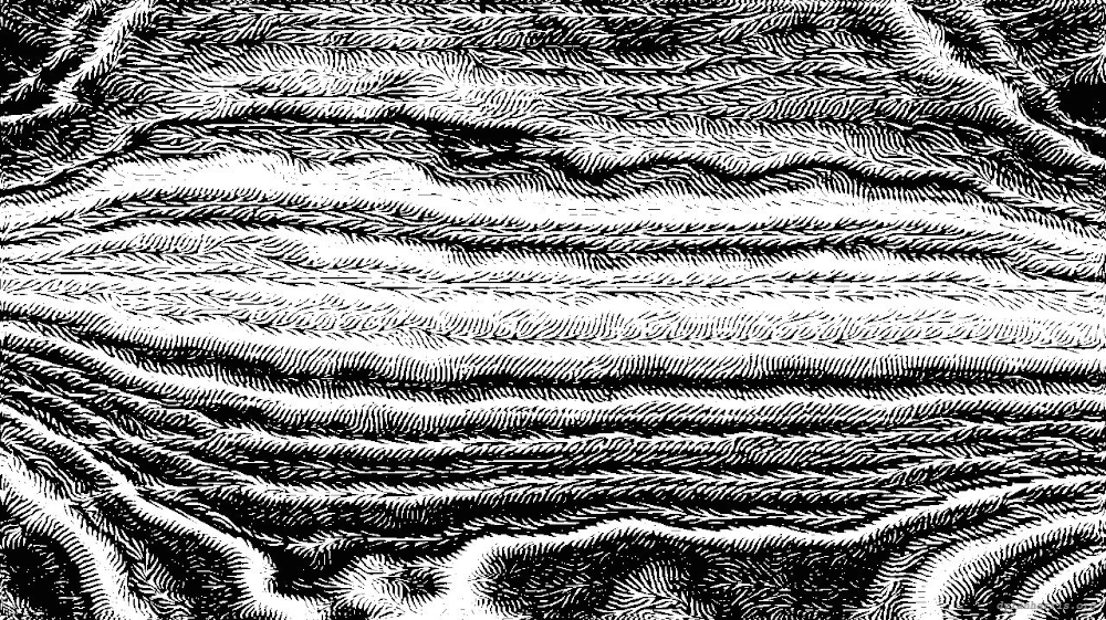 Image 'reflets — msg — processing effects 0 screening 1 4'.