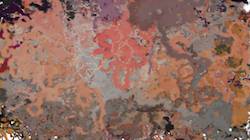 First of '4.0 A collection scribblers'.