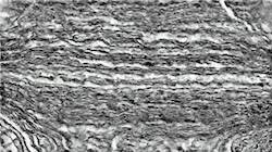 Fourth of 'reflets — paint synthesiser classic — 3.5 collection sketch 1'.