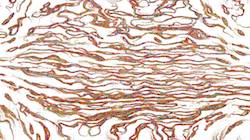 Sixth of 'reflets — paint synthesiser classic — 3.5 collection sketch 1'.