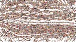 Second of 'reflets — paint synthesiser classic — 3.5 collection sketch 2'.