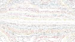 Sixth of 'reflets — paint synthesiser classic — 3.5 collection sketch 2'.