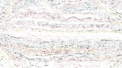 Third of 'reflets — paint synthesiser classic — 3.5 collection sketch 3'.