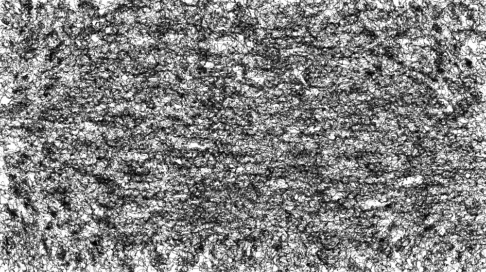 Image 'reflets — paint action sequence — sketch 1 3'.