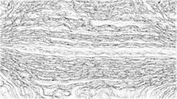 First of 'reflets — paint synthesiser classic — default sketchsoft 2'.