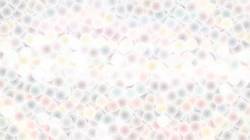 Fifth of 'reflets — paint synthesiser classic — default soft styles 2'.