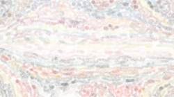 Fourth of 'reflets — paint synthesiser classic — default soft styles 3'.