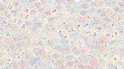 Second of 'reflets — paint synthesiser classic — 3.5 collection stylistik 4'.