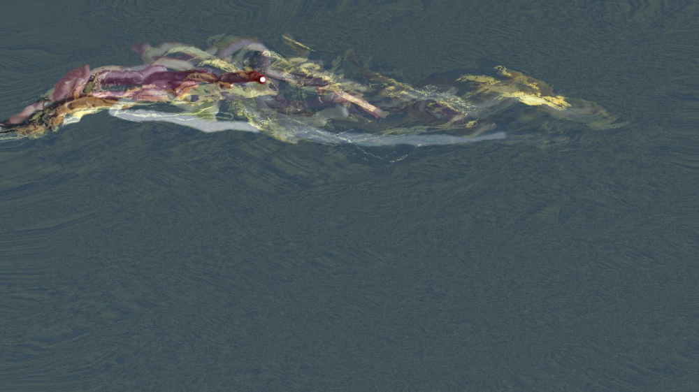 Image 'reflets — dualmode paint — default test 2 2 6'.