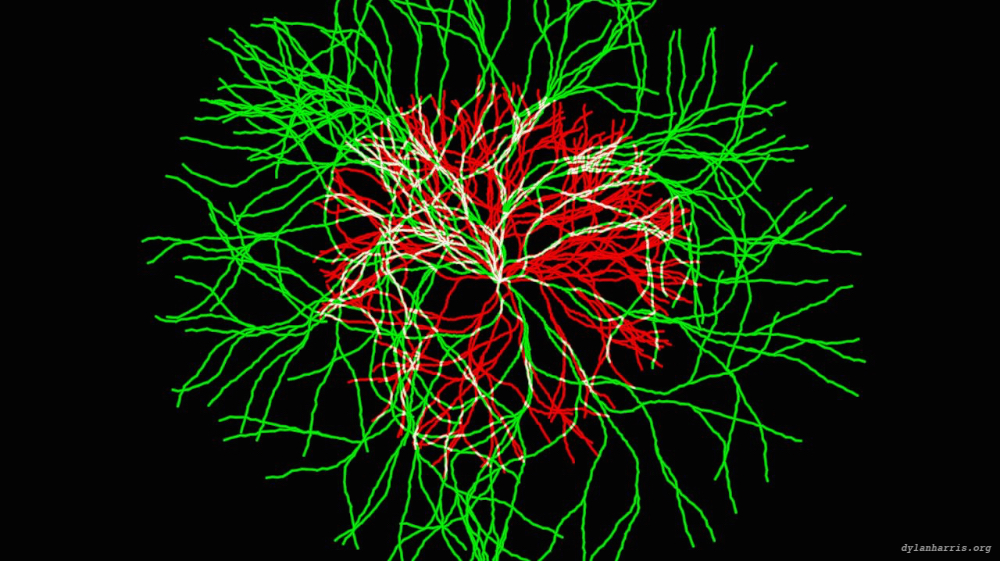 Image 'tg anim test 3 1'.