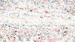 Fifth of 'reflets — paint synthesiser classic — default vibrant texture 2'.