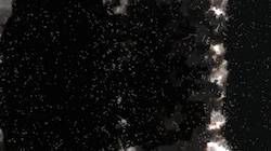 Fifth of 'reflets — paint synthesiser classic — 4.0 collection watercolour 7'.