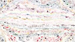 Third of 'reflets — paint synthesiser classic — paint styles watercolour wet 2'.