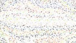 First of 'reflets — paint synthesiser classic — default wet 1'.