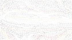 Seventh of 'reflets — paint synthesiser classic — default wet paint 1'.