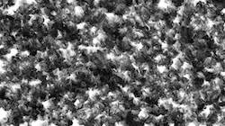 Fourth of 'reflets — paint synthesiser classic — paint styles wet turbulent 1'.