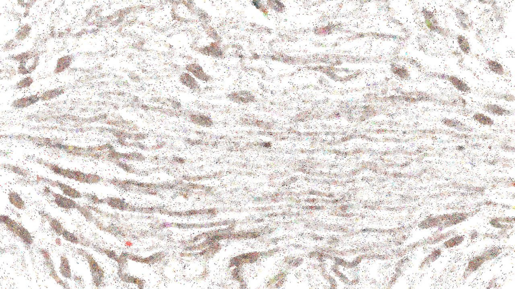 Image '4.0 A collection wild 3 1'.