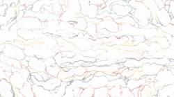 Second of '4.0 A collection wild 3'.