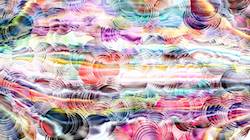 Eighth of '4.0 A collection wild 3'.