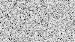 Fifth of 'reflets — paint synthesiser classic — speciality woodcut 2'.